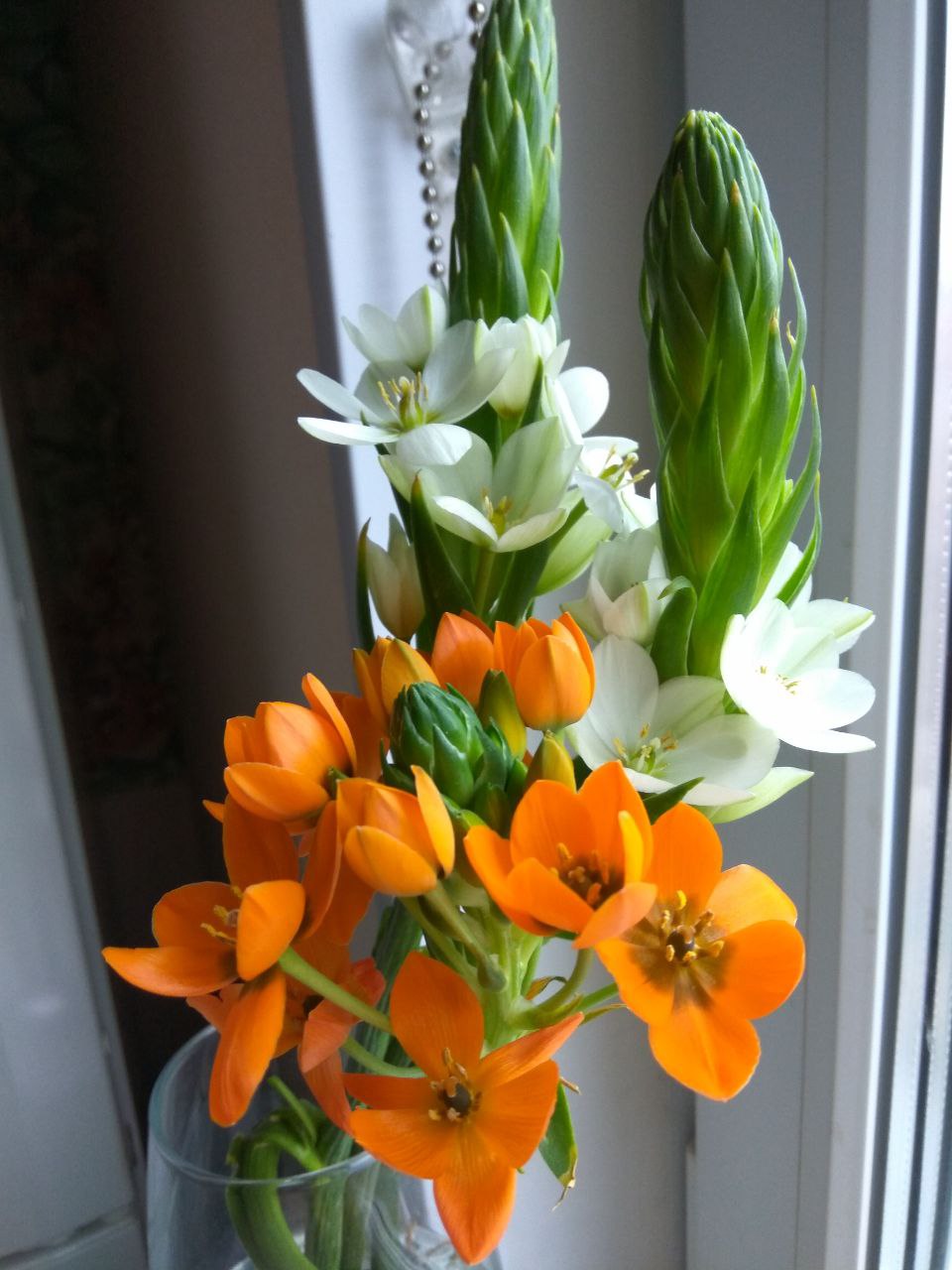 Лето Частная Оранжерея